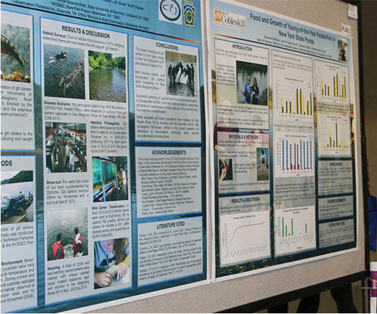 Fabric Research Poster A0 / 33 x 47 (Fabric)
