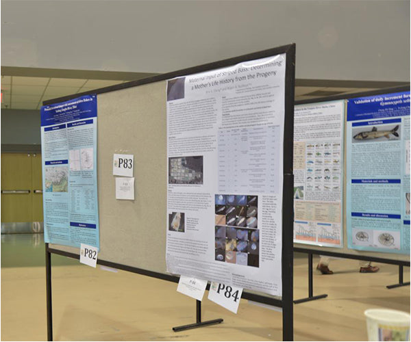 Research Poster 48 x 60 (Poster Paper)